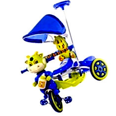 Derision Tricycle India Price