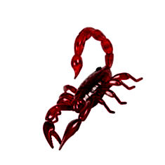 Robotic Scorpion