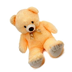 Teddy Bear Shop Online