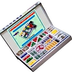 Snap Circuit Kit