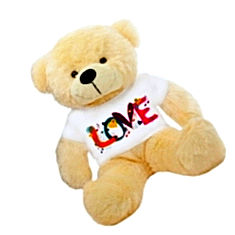 I Love You Teddy Bear