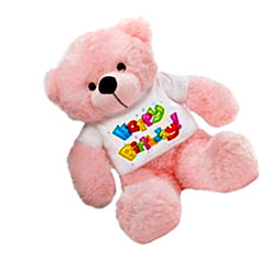 Grabadeal Colorful Teddy Bear India Price