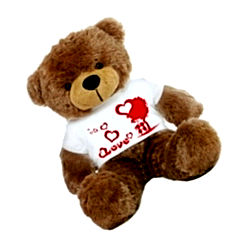 Grabadeal Love Teddy Bears online India Price