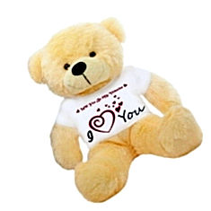 Grabadeal Will You Be My Teddy India Price