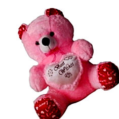Teddy Bear With A Heart