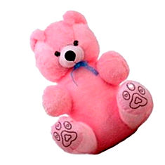 GRJ Buy Teddy Bear online India India Price