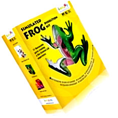 Iken joy toy frog dissection kit India