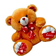 Soft Toys Teddy Bear