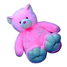 Softest Teddy Bear