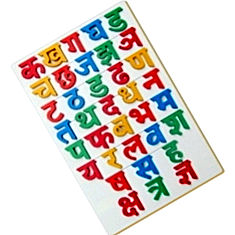 Little genius hindi consonants India Price