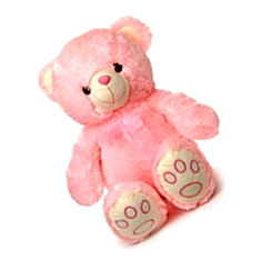 Standing Soft Toy Bear