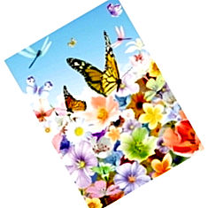 Noris 3d butterfly puzzle India Price