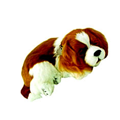 Cavalier King Charles Soft Toy