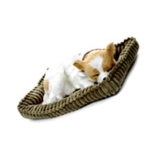 Perfect petzzz chihuahua soft toy India Price