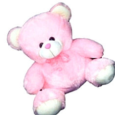 Play n pets soft fluffy bear India Price