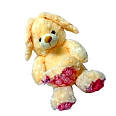 Play n pets rabbit with heart India Price