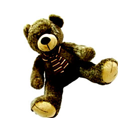 Big Cute Teddy Bear