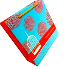 PrintSpeaks embellished gift bag India Price