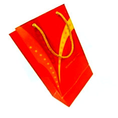 PrintSpeaks small orange gift bag Fireworks Design Printed India Price