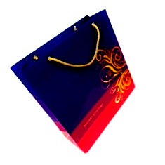 PrintSpeaks sparkly gold gift bag India Price