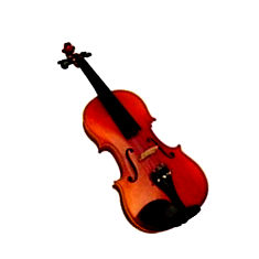 sg buy violin online India