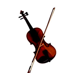 sg violin with bow India