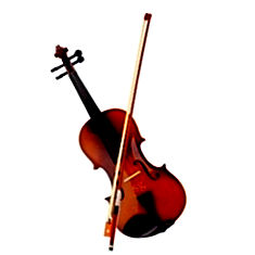Sg Violin