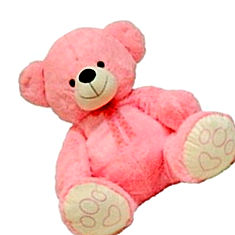 Surbhi Big Huggable Teddy Bear India Price