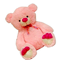 Surbhi Huggable Bear Teddy 29.5 inch Plush India Price