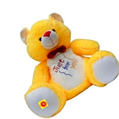 Vtc Best Teddy Bear India Price